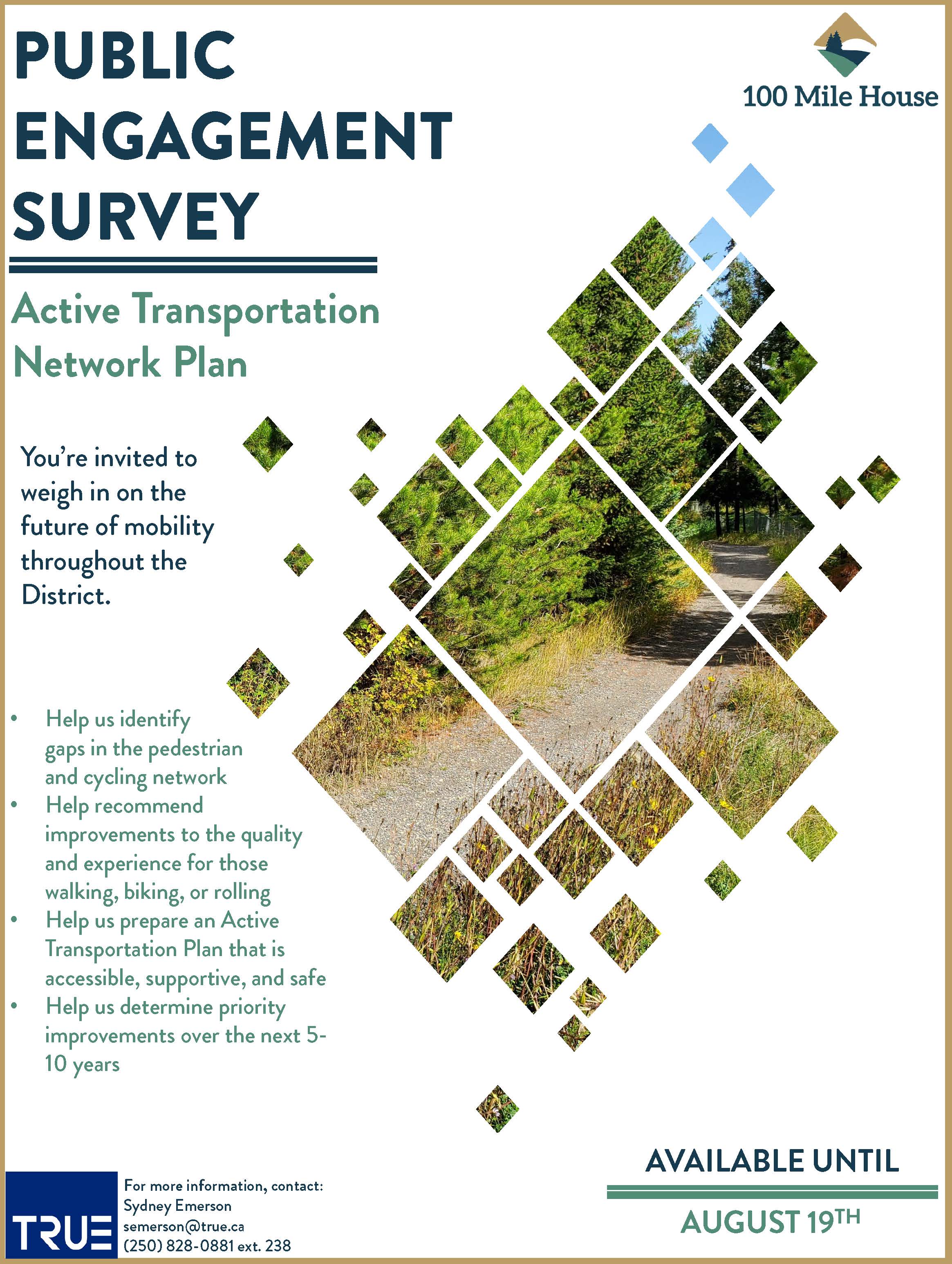Public Engagement Survey Poster 1 (002).jpg