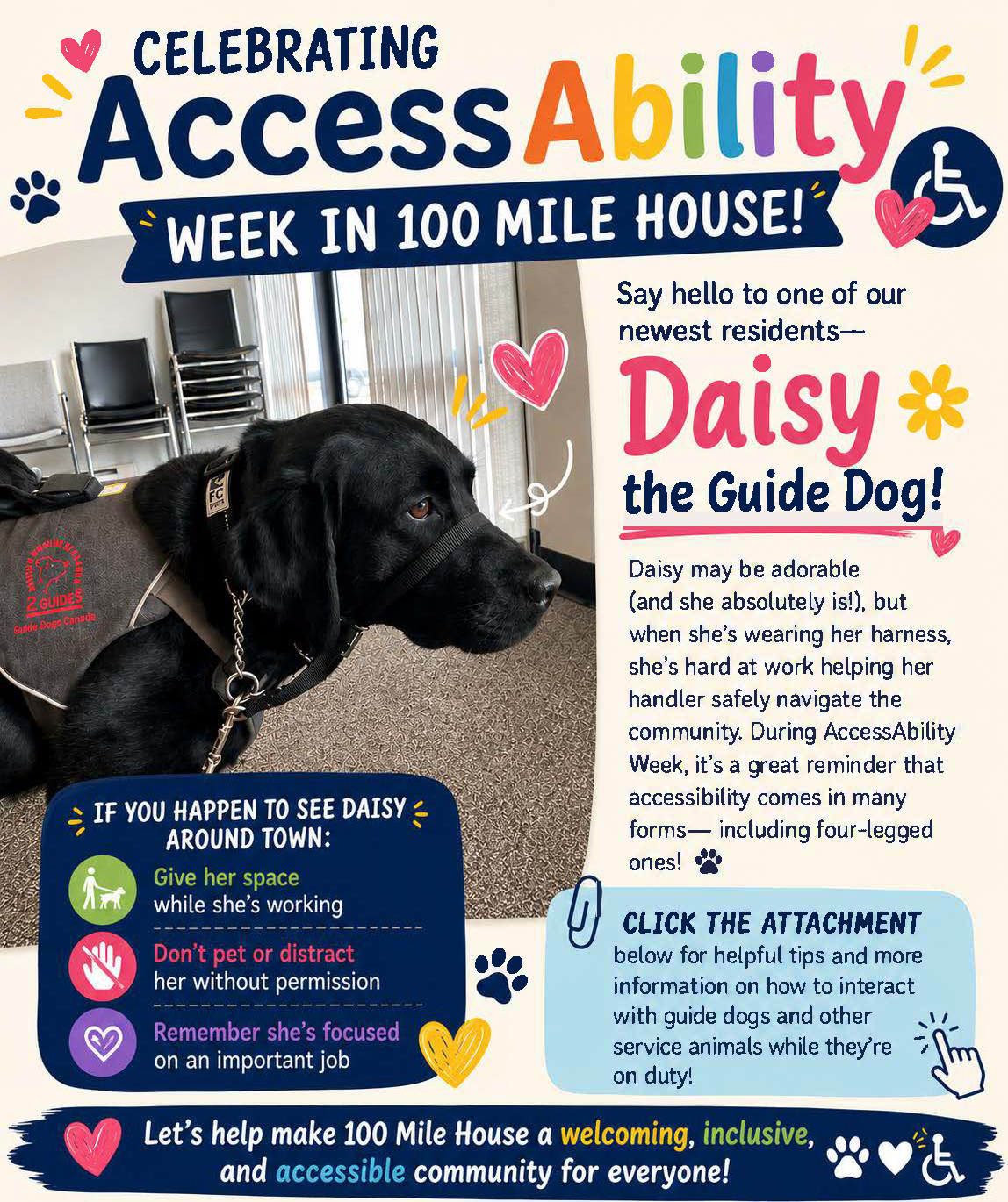 Daisy the Guide Dog