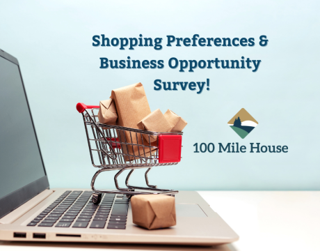 Shopping Preferences & Business Opportunity Survey