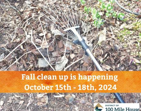 Fall Cleanup 2024