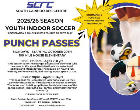 Youth Soccer 