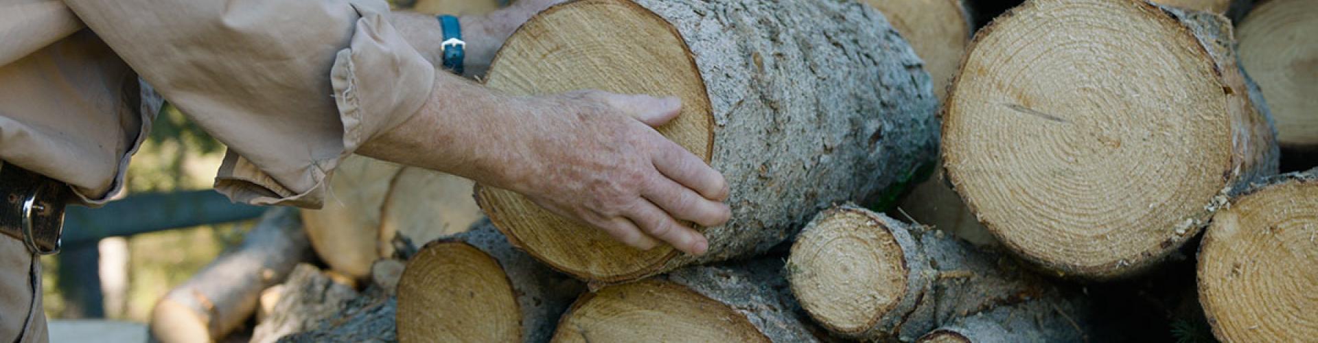 Firewood Pile 